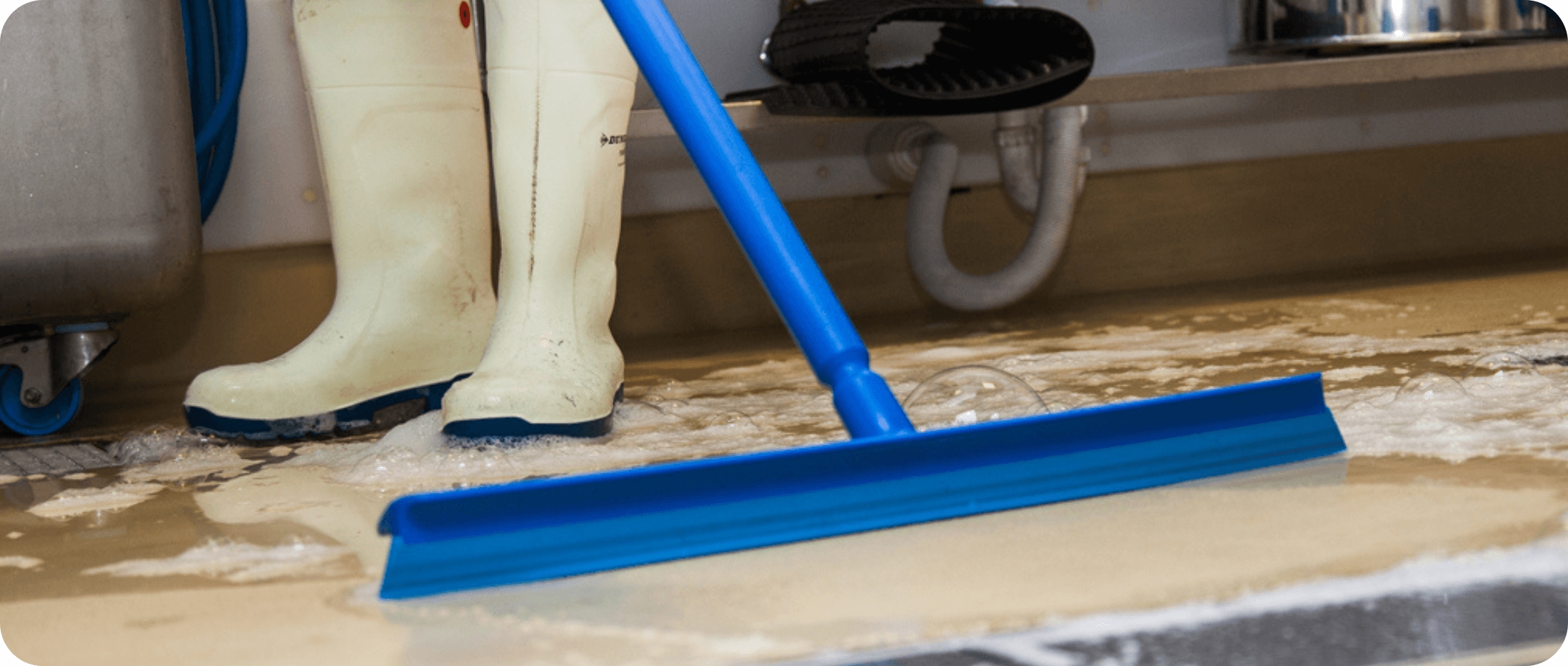 Come gestire la Condensa e l'Umidità in Azienda Alimentare